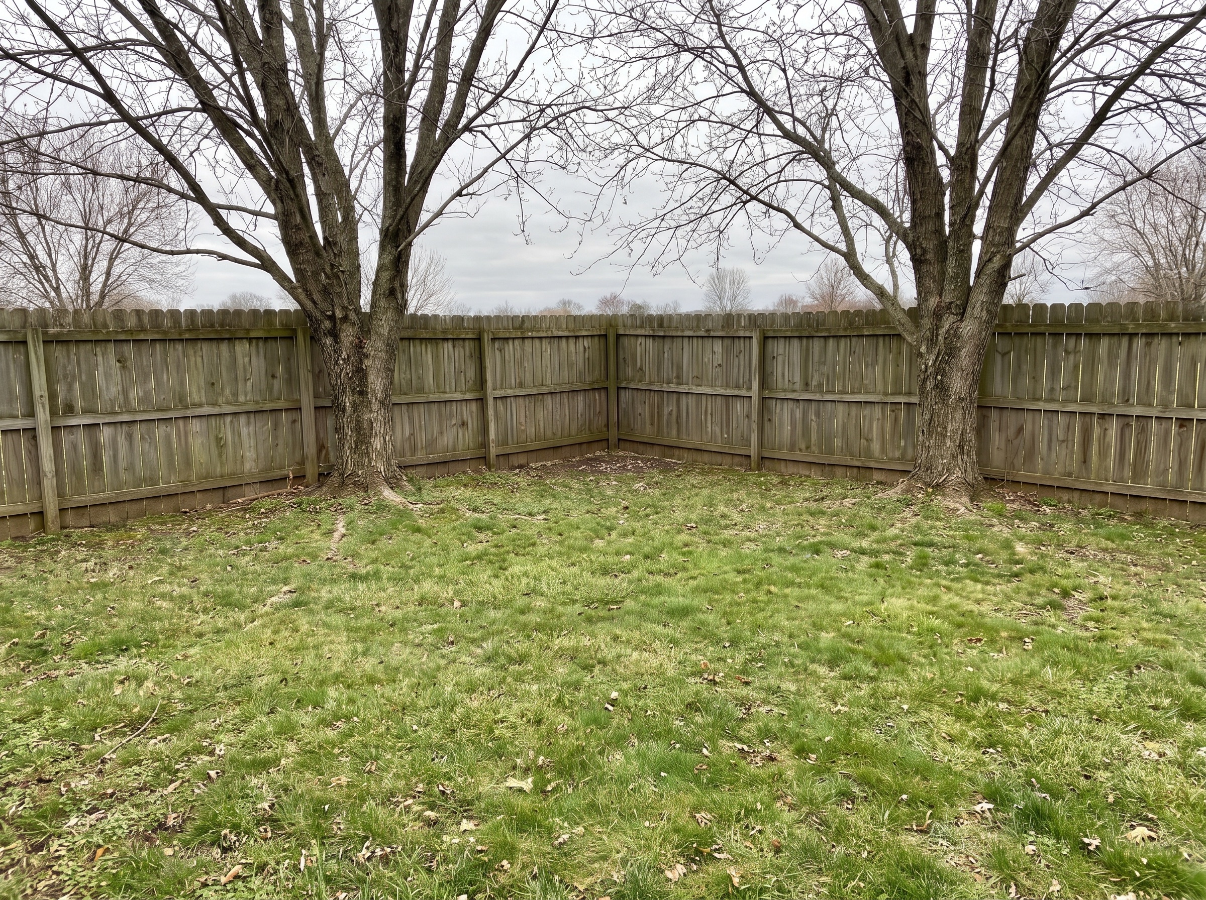 Empty backyard before construction of a detached ADU